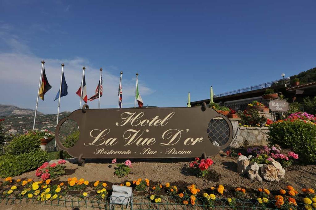 Hotel La Vue D'Or Σορέντο Εξωτερικό φωτογραφία